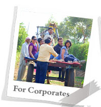 For Corporates