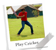 Play Cricket